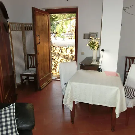 Talamoni