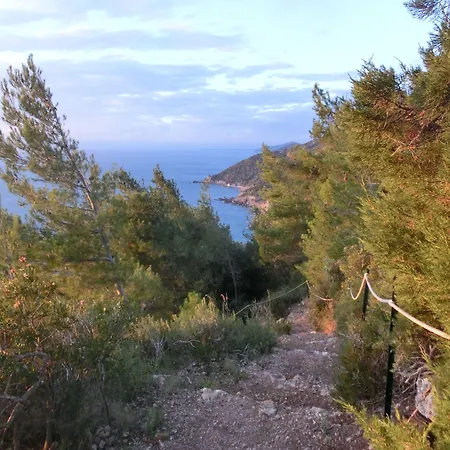 Talamoni