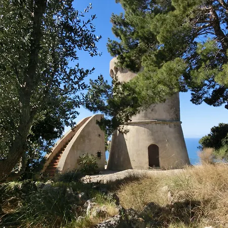 Talamoni