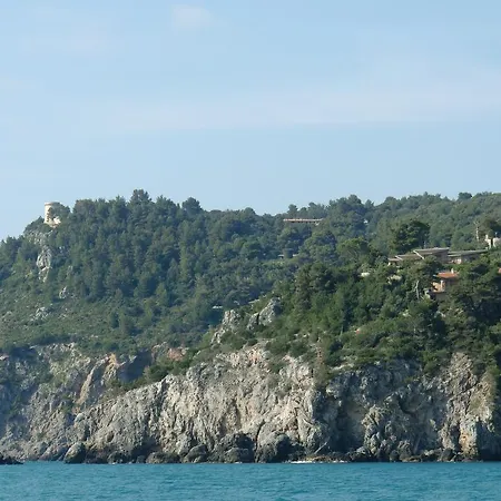 Talamoni