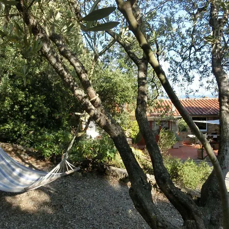 Talamoni